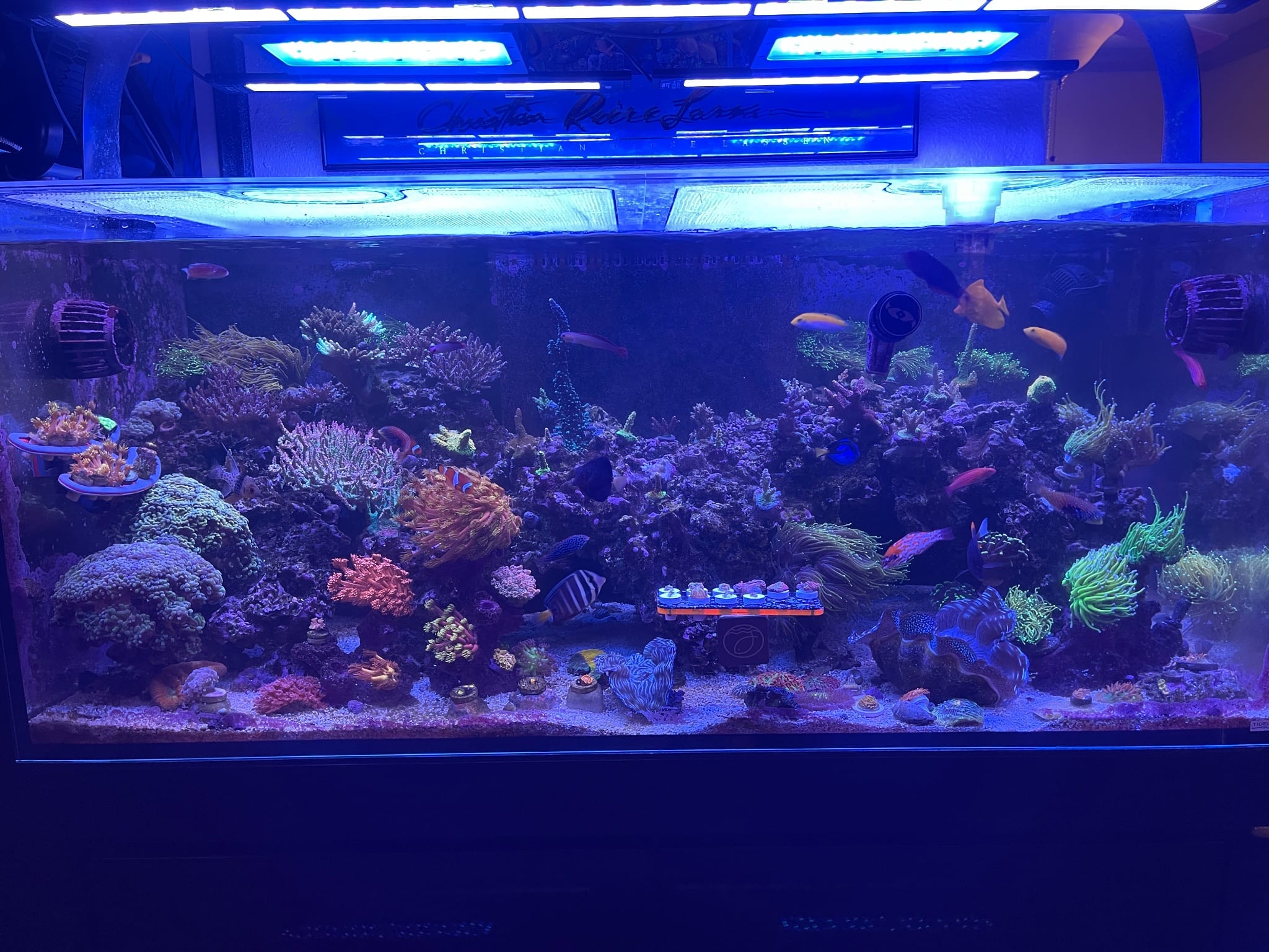 Planet Tideline 105