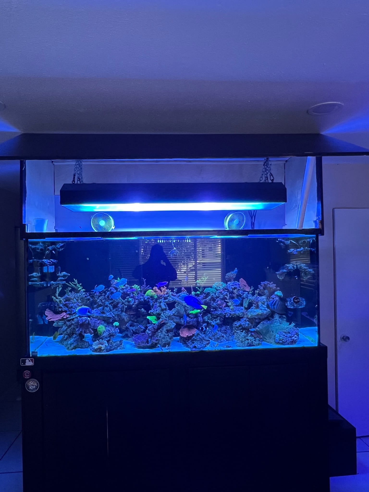 FS: Cebu Sun 5’ MH/t5 fixture